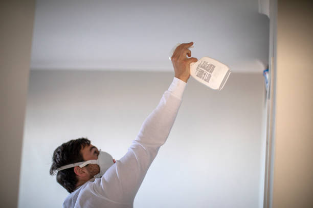 Best Mold Removal Company Near Me  in Dent, OH