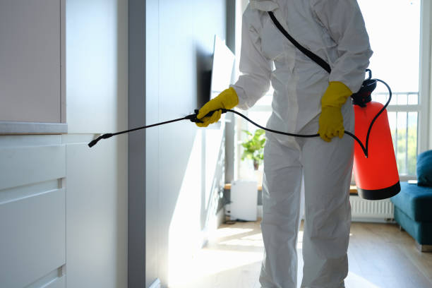 Best Professional Mold Removal  in Dent, OH