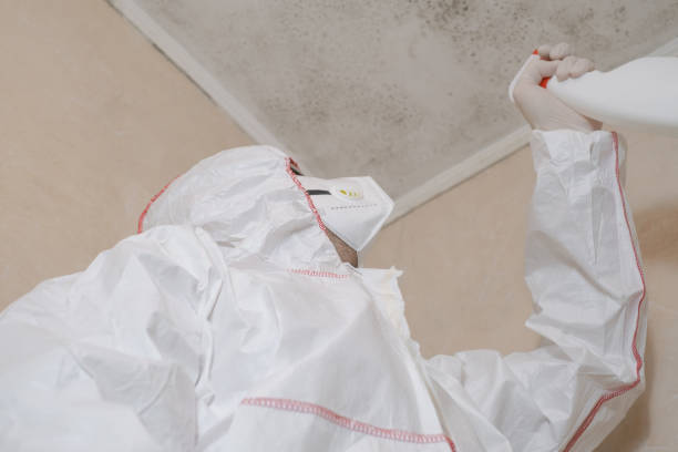Best Residential Mold Removal  in Dent, OH